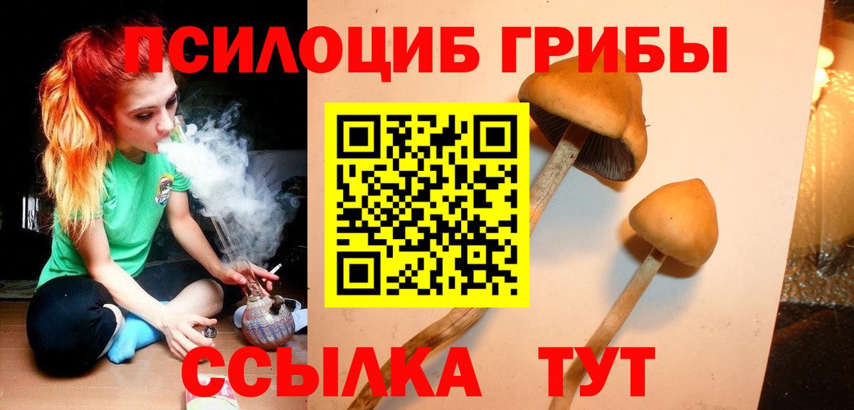 Галлюциногенные грибы прущие грибы  закладки  Фурманов  Вход с VPN 
