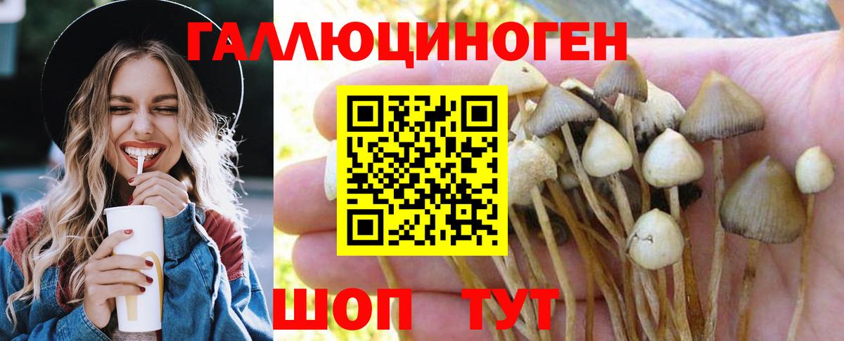 Галлюциногенные грибы Magic Shrooms Фурманов